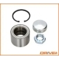 DP2010100282 Wheel Bearing Kit