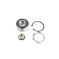 DP2010100176 Drive+ Комплект подшипника ступицы