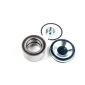 DP2010100161 Drive+ Комплект подшипника ступицы