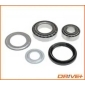 DP2010100128 Drive+ Комплект подшипника ступицы