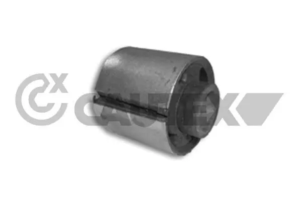  CAUTEX 