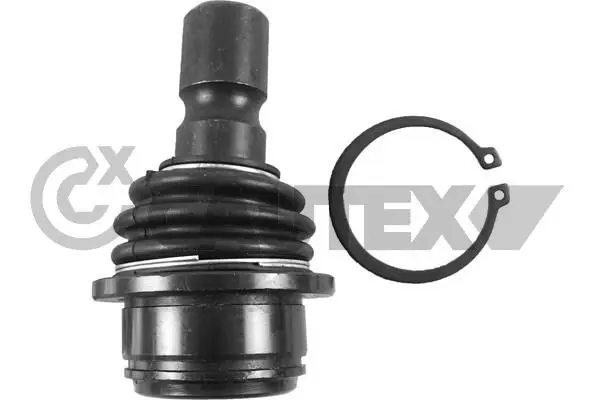  CAUTEX 