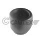 CAUTEX 010222