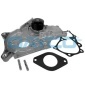 DP199 DAYCO Помпа