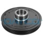 DAYCO DPV1797