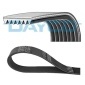 DAYCO 7PK1640