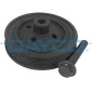DAYCO DPV1070K