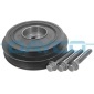 DAYCO DPV1078K