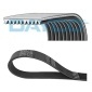 DAYCO 10PK1350HD