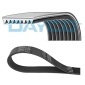 Dayco 8PK2043