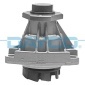 DP455 