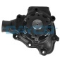 DP204 