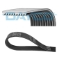 Dayco 10PK1145HD