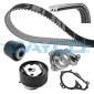 DAYCO KBIOWP141