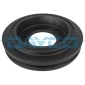 DAYCO DPV1243
