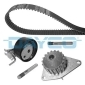 KTBWP3361 Dayco Комплект ремня ГРМ