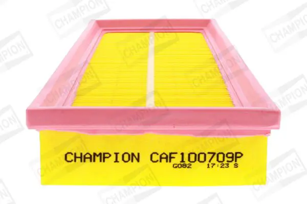 CAF100709P Фильтр