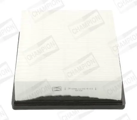 CAF100793P Фильтр