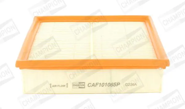 CAF101065P Фильтр