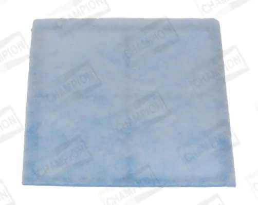 CCF0243 