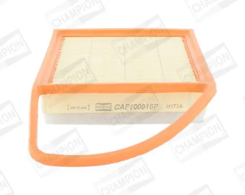 CAF100916P Фильтр