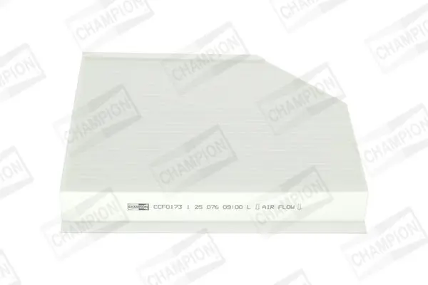CHAMPION CCF0173 Фильтр