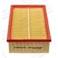 CHAMPION CAF101064P
