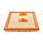CHAMPION CAF101067P
