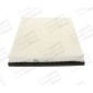 CHAMPION CAF100707P