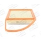 CHAMPION CAF100916P