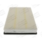 CHAMPION CAF100868P