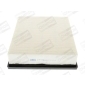 CHAMPION CAF100866P