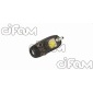 CIFAM 1011055