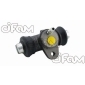 CIFAM 101061