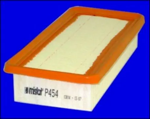 P454 