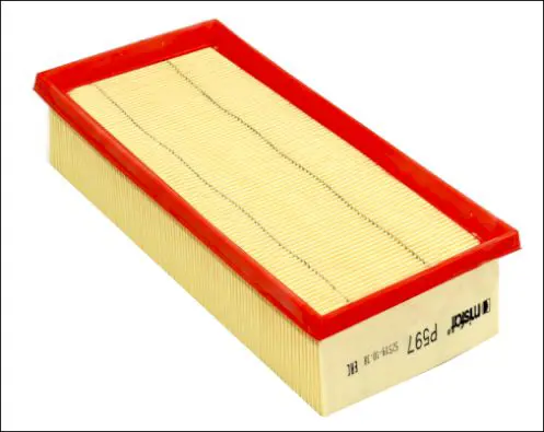 P597 