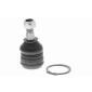 ACKOJA A321186