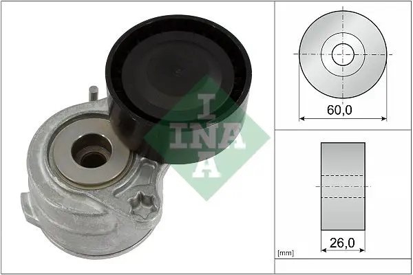 INA 534065310 Ролик генератора натяжной PSA