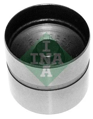 INA 420021010 Гидрокомпенсатор