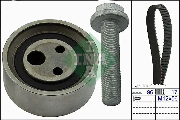 Ina 530049010 Комплект ремня ГРМ RENAULT