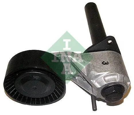 Ina 534040110 Ролик приводного ремня BMW X5