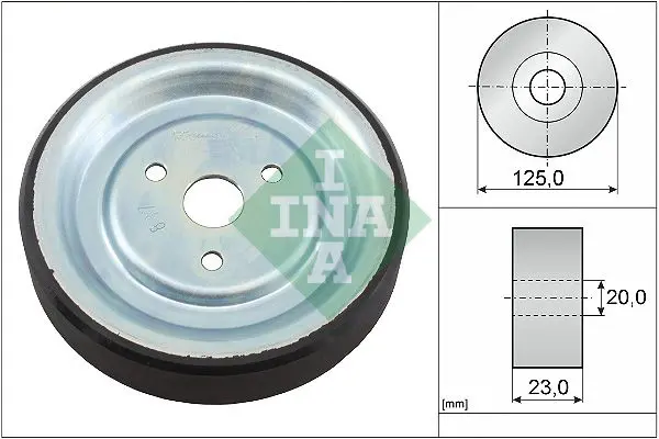 Ina 532091210 Шкив водяного насоса BMW