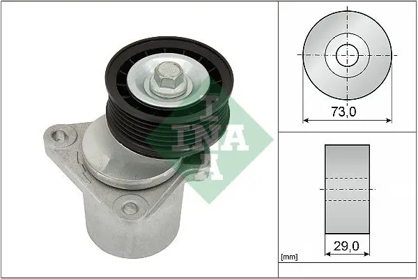 Ina 534012820 Натяжитель поликлинового ремня