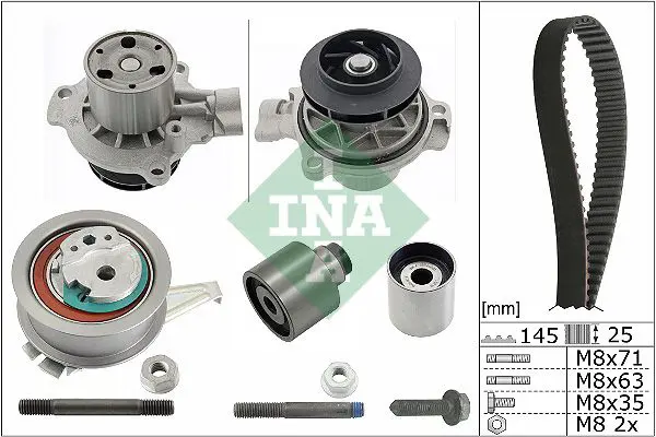 INA 530065031 Комплект ремня грм