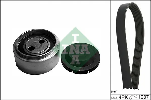 INA 529008710 Поликлиновой ременный комплект