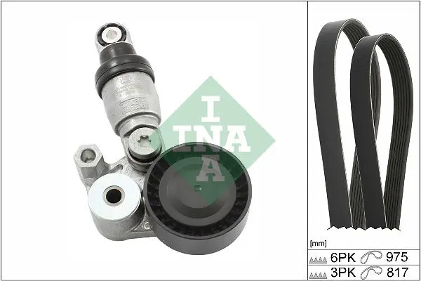 INA 529054010 Поликлиновой ременный комплект