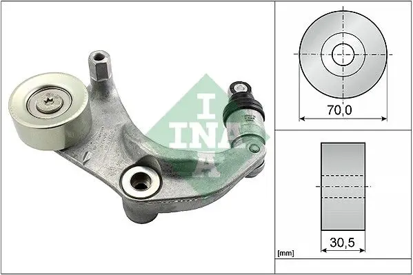Ina 534031610 Ролик ремня ДВС в сборе с