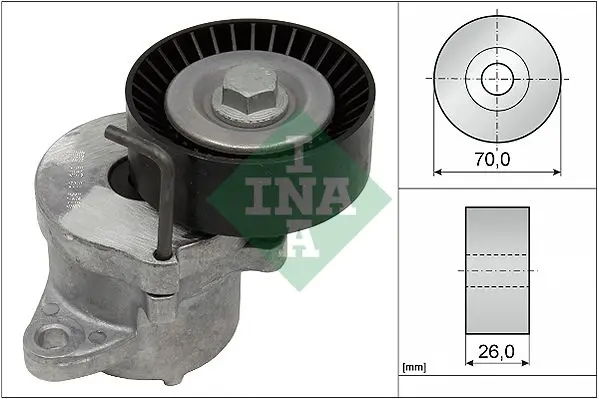 Ina 534043910 Ролик приводного ремня Opel