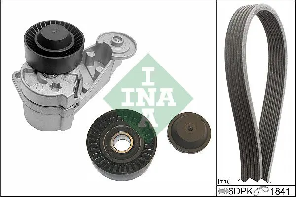 INA 529048010 Поликлиновой ременный комплект