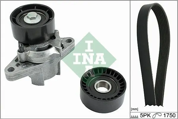 INA 529008210 К-кт ремня приводного